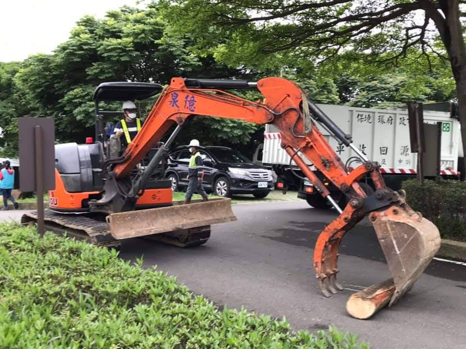 路樹清除