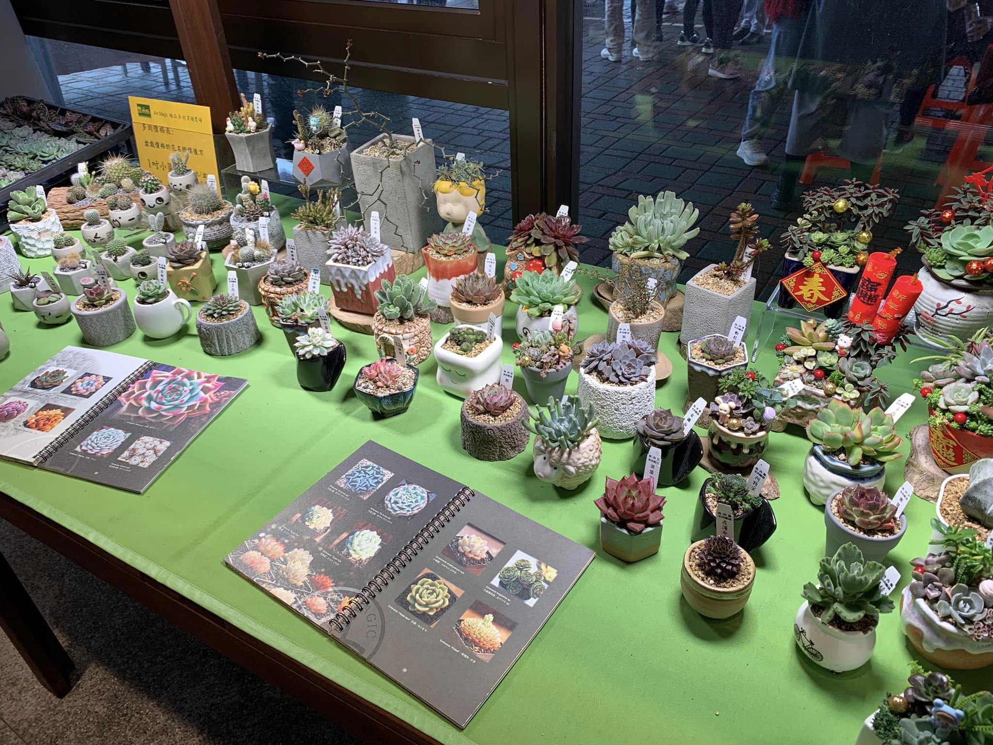 多肉植物展覽