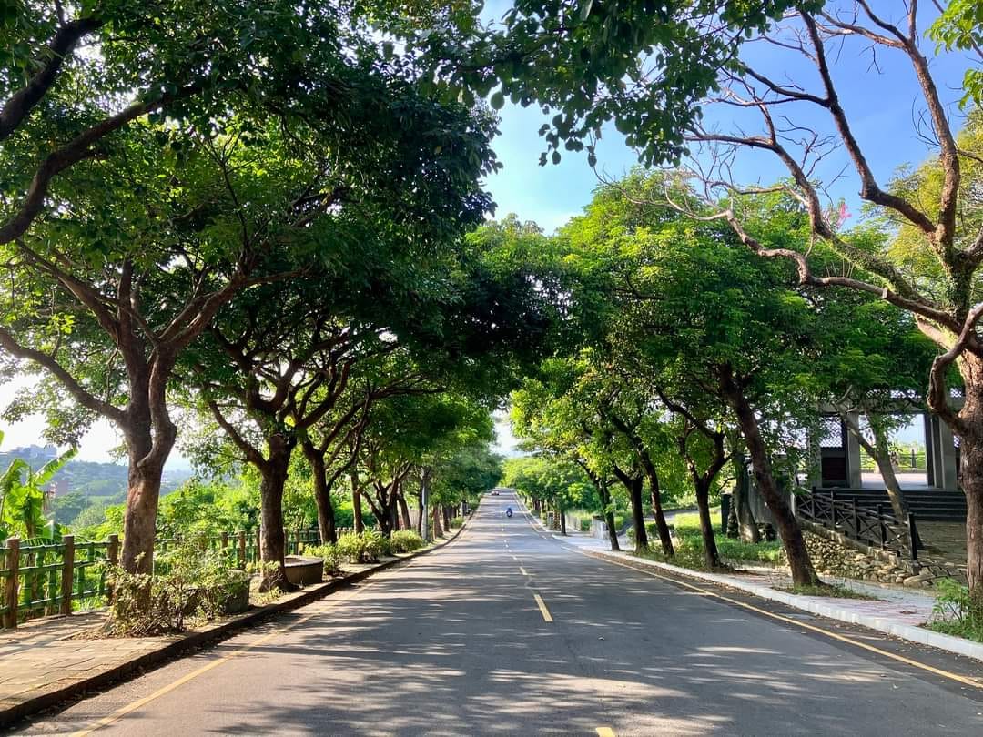 八連溪名人館的綠蔭大道