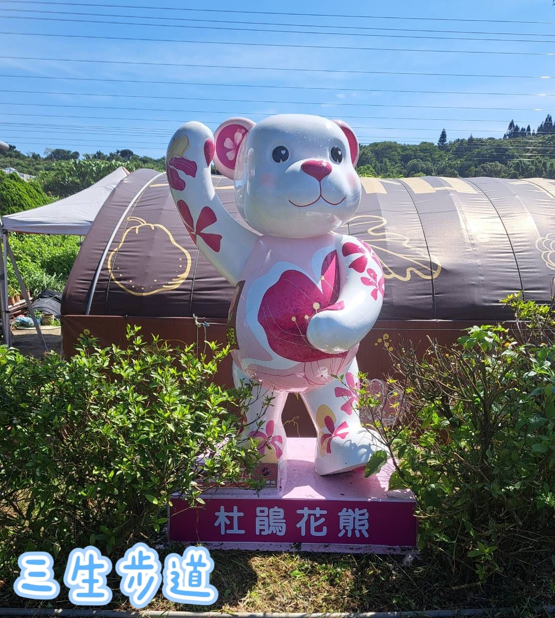 三生步道杜鵑熊