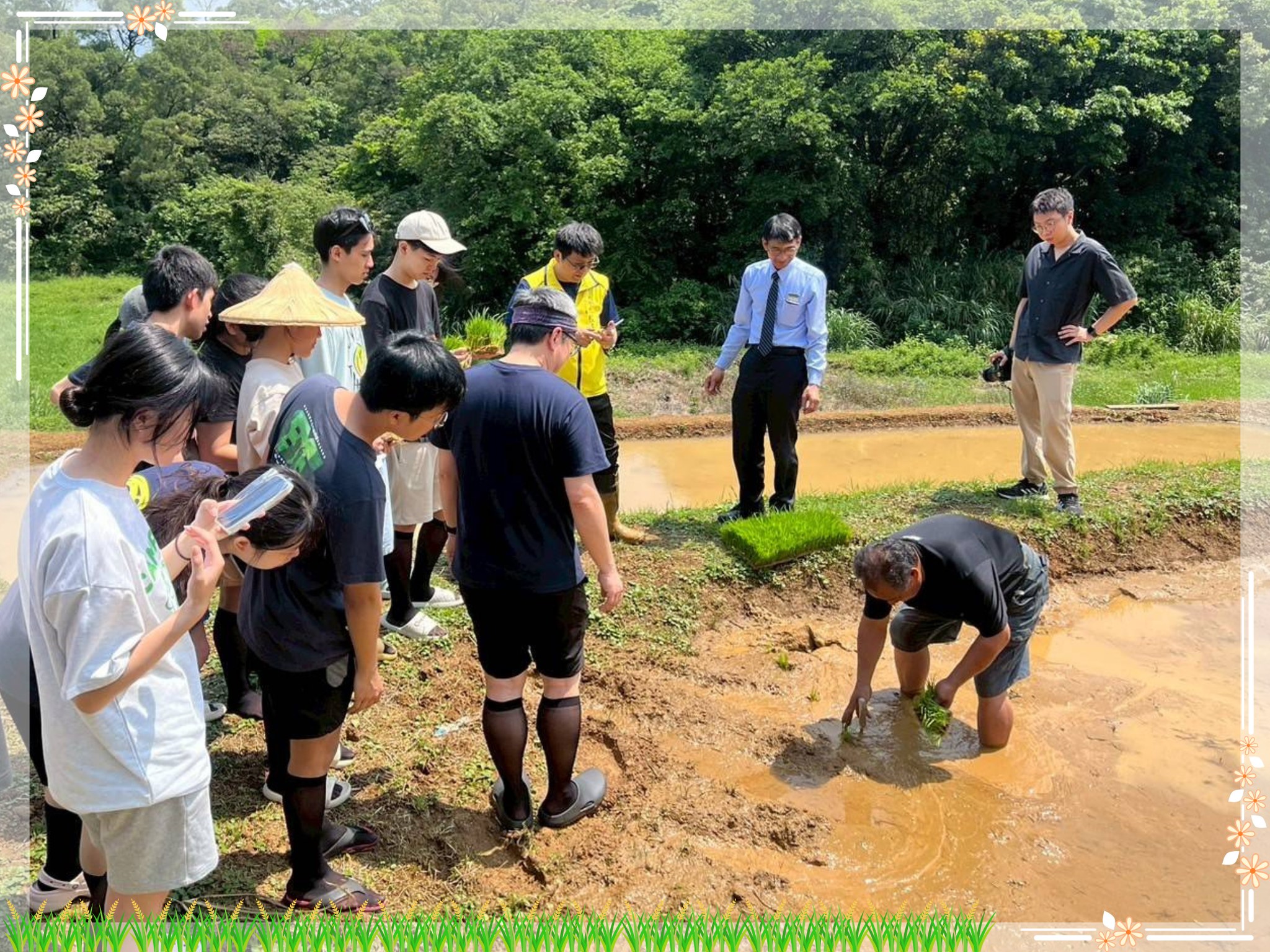 農民陳榮貴帶領大家學習插秧技巧並種下秧苗