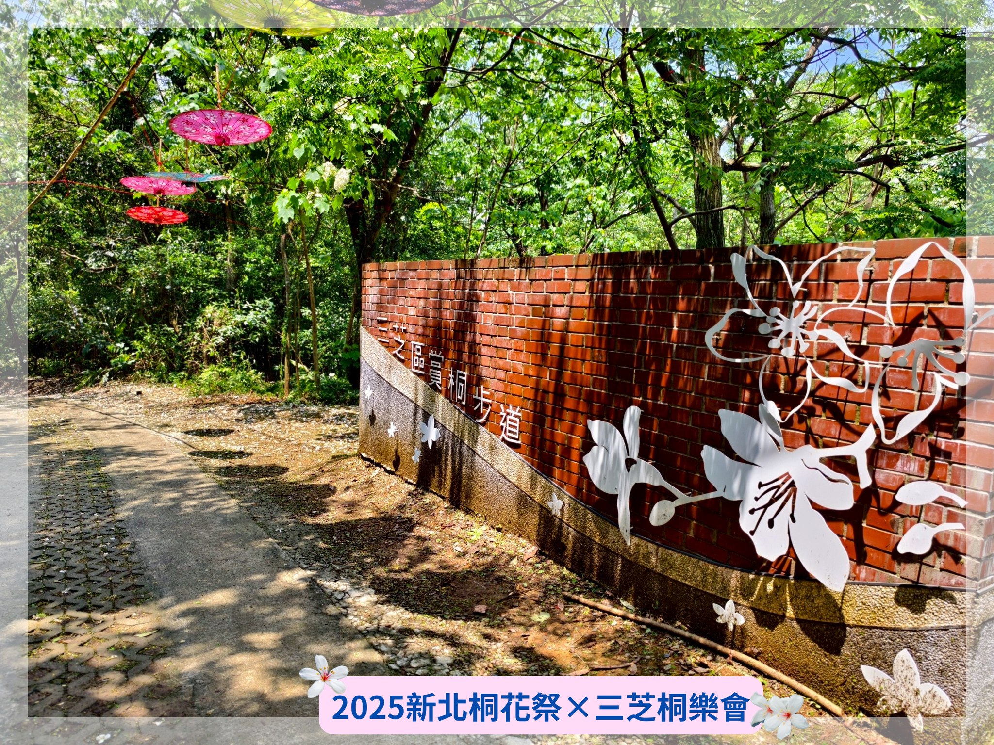 三芝區賞桐步道