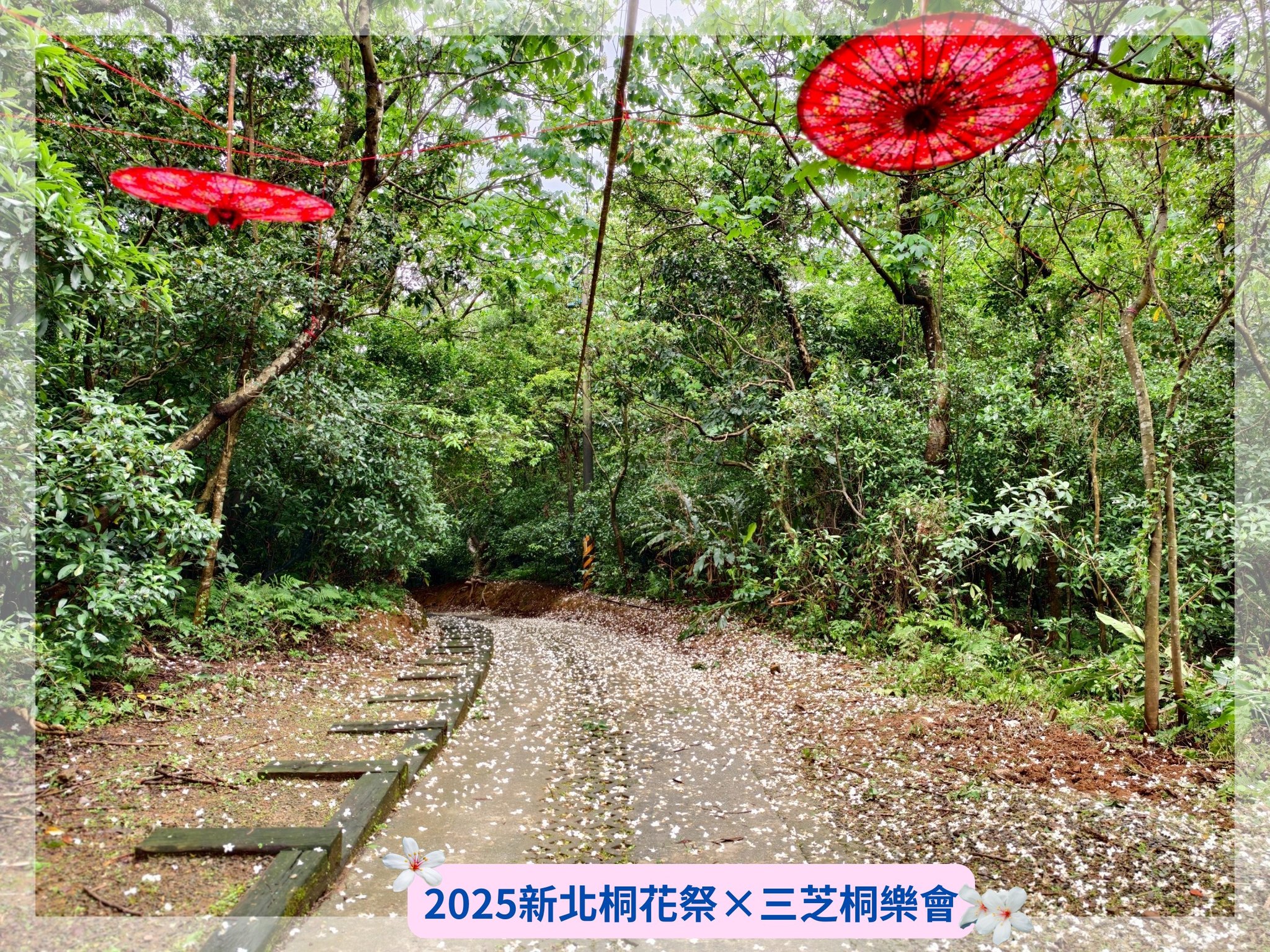 三芝賞桐步道