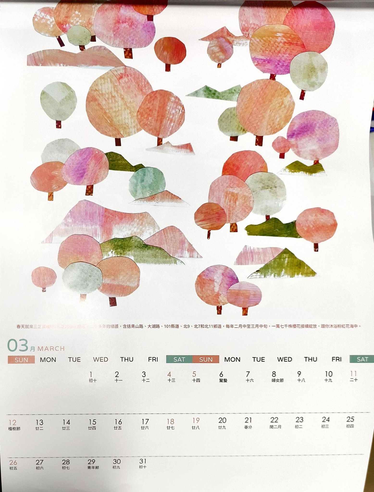 3月：粉嫩櫻花季，畫出了三芝櫻花的繁盛與浪漫。