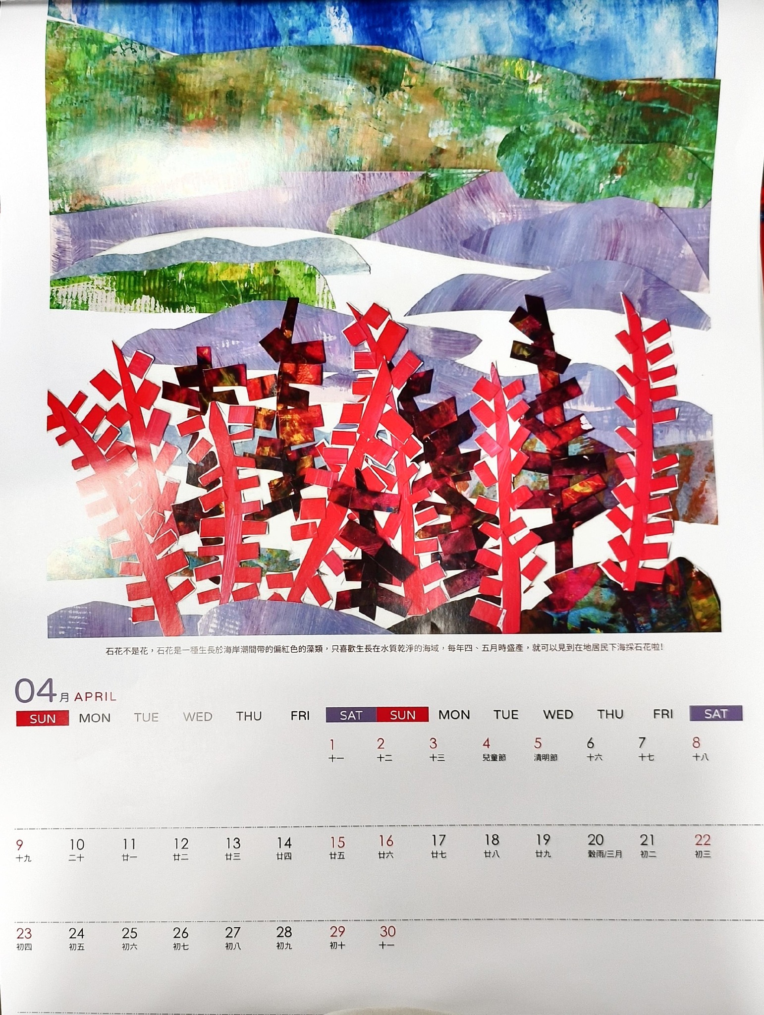 4月：描繪石花盛產的畫面，而且石花凍也是夏日消暑好物~