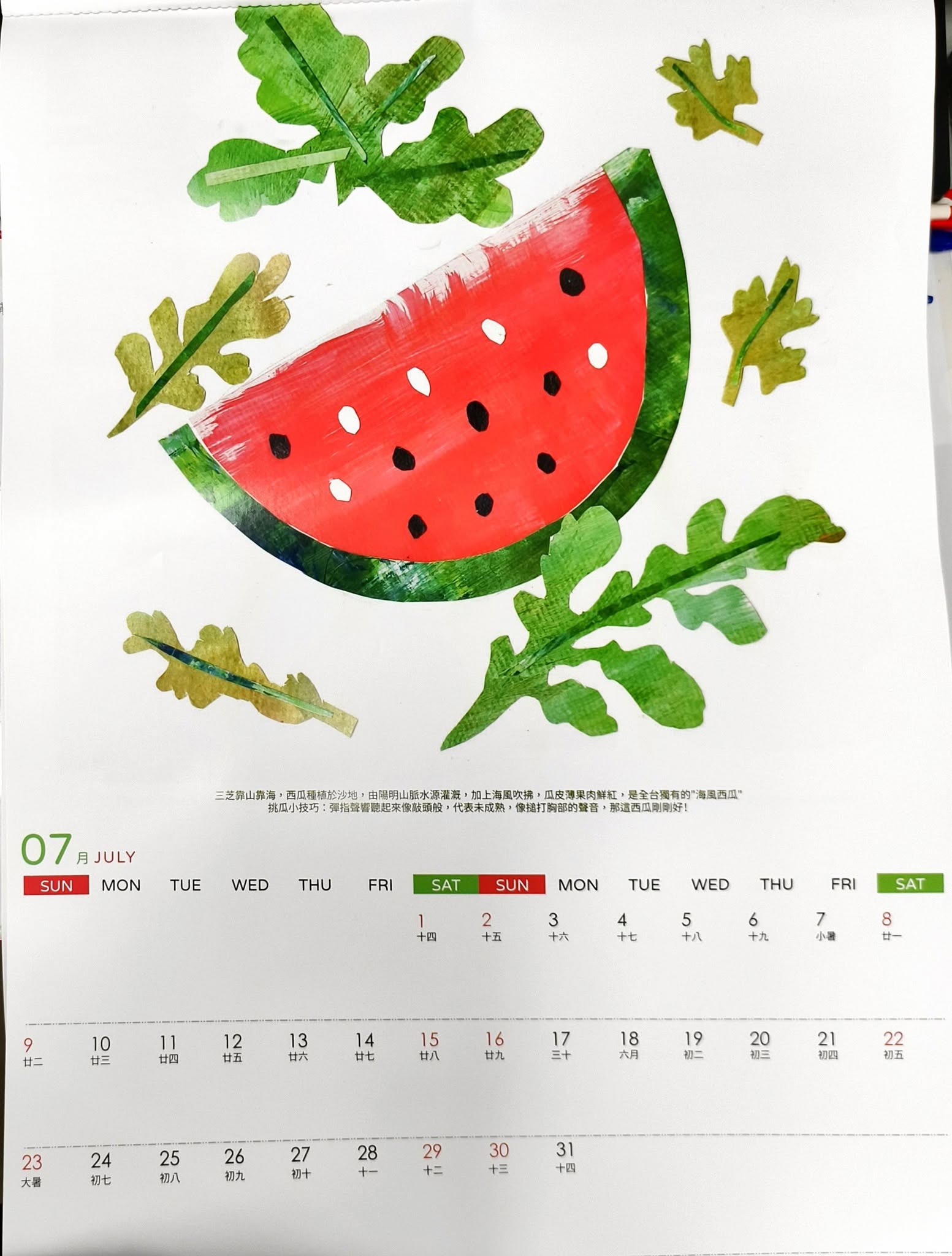 7月：三芝西瓜有陽明山脈水源灌溉加上海風吹拂，是全台獨有的海風西瓜喔！