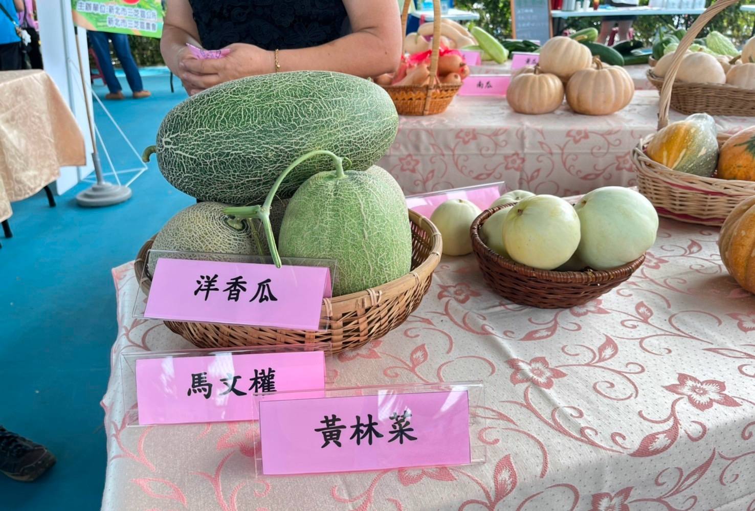 農友栽種洋香瓜展示