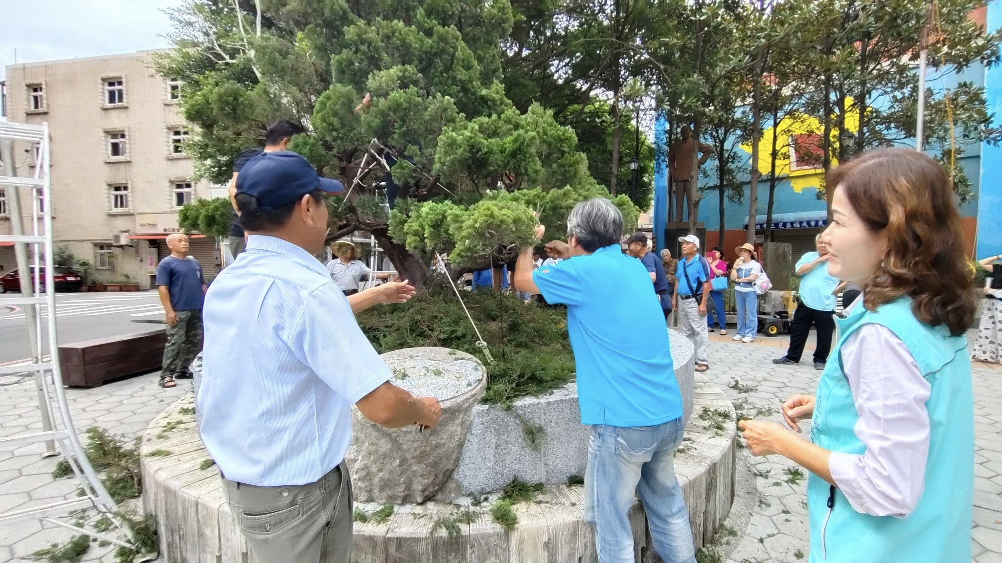 吳建璋老師親自指導農會學員榕柏修剪技術