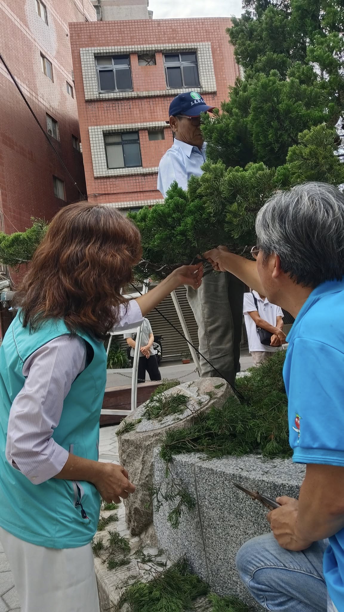 吳建璋老師親自指導樹形整枝實作示範