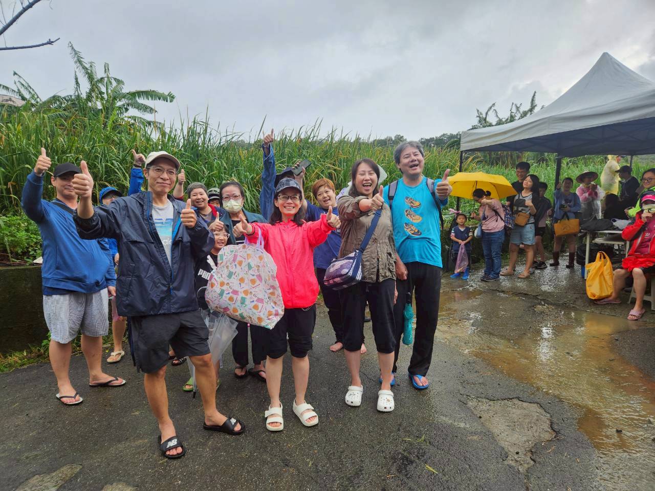 民眾參與採筍體驗