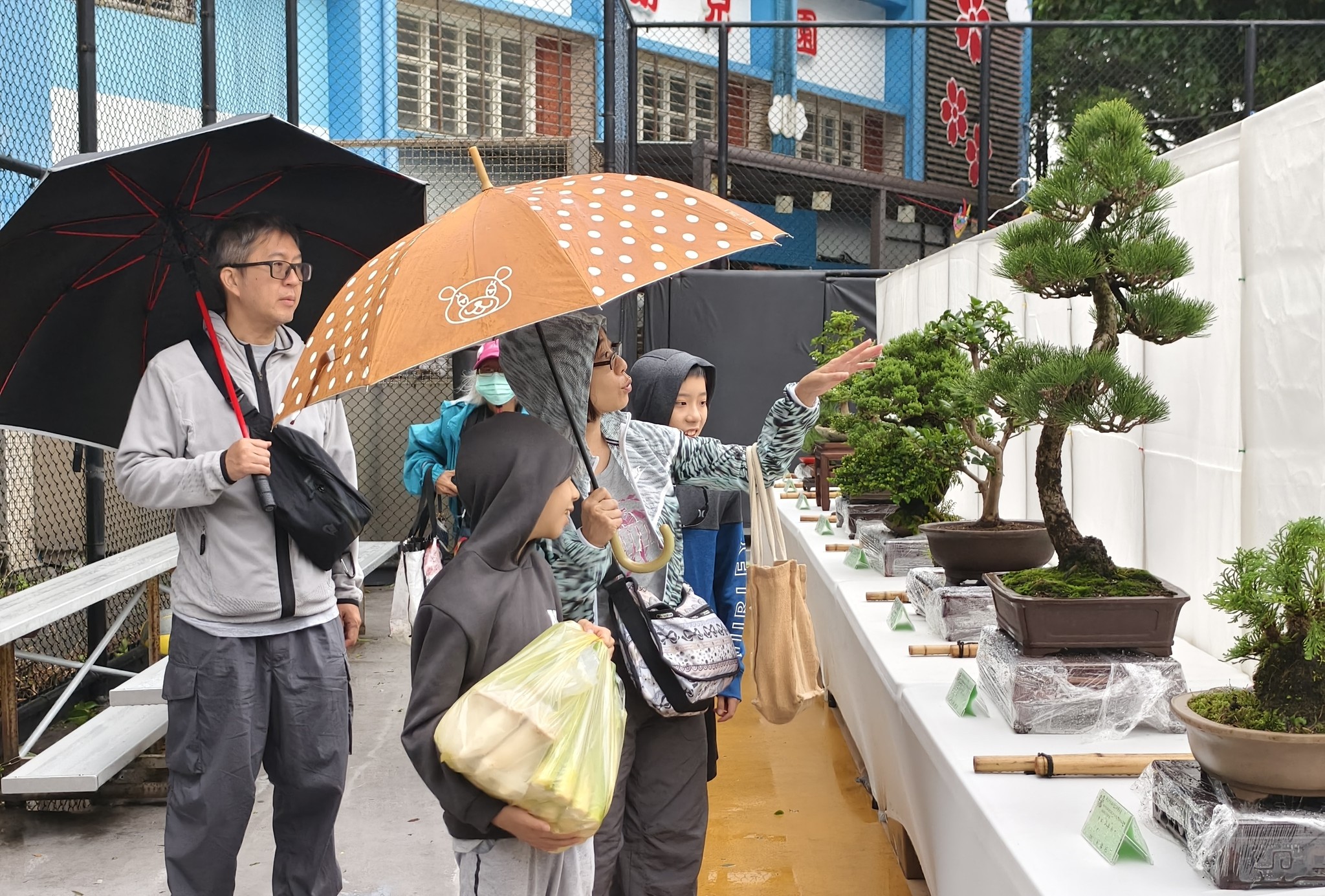 民眾參觀現場盆栽協會布置的景觀盆栽