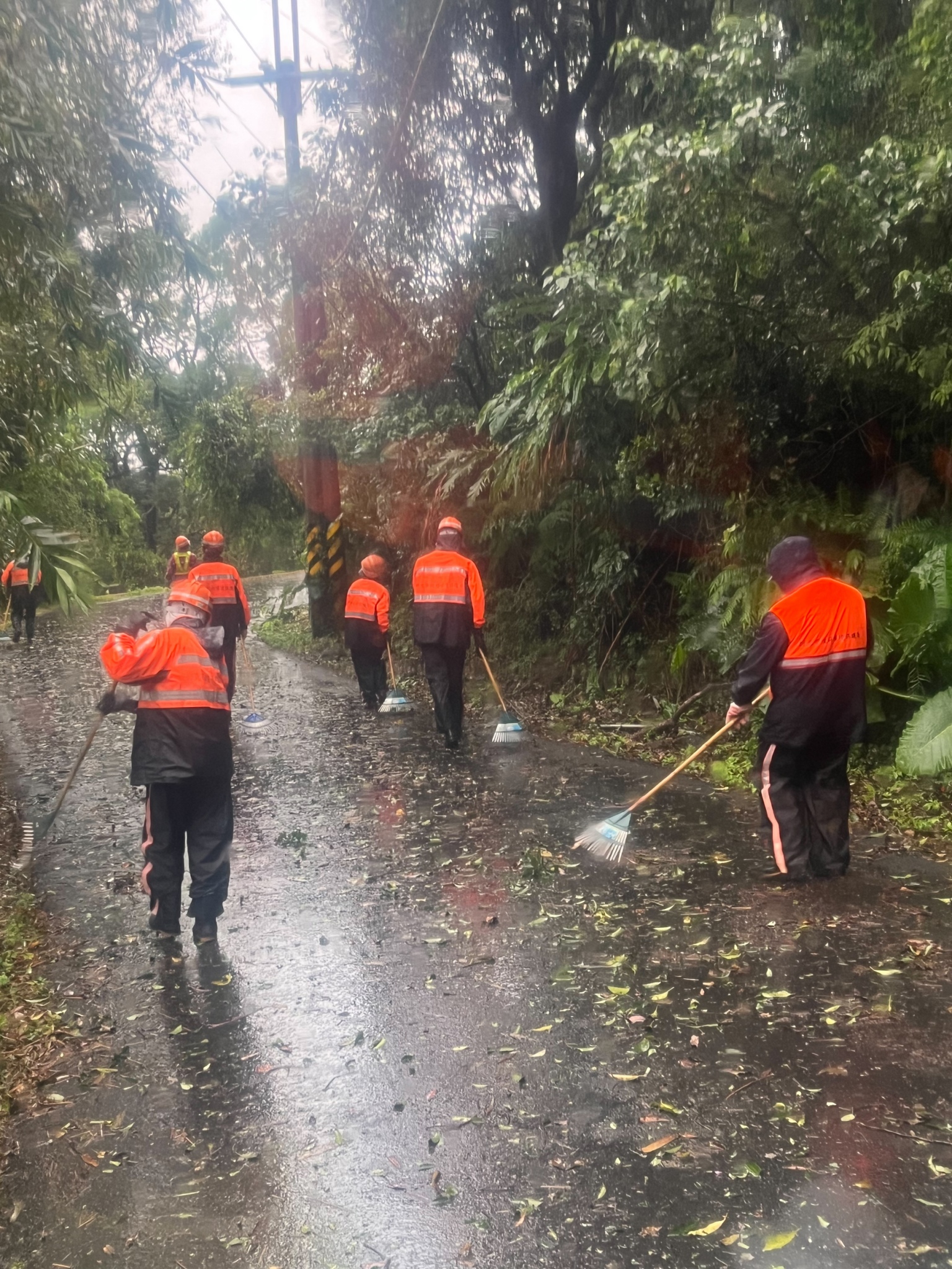 路面、側溝巡檢