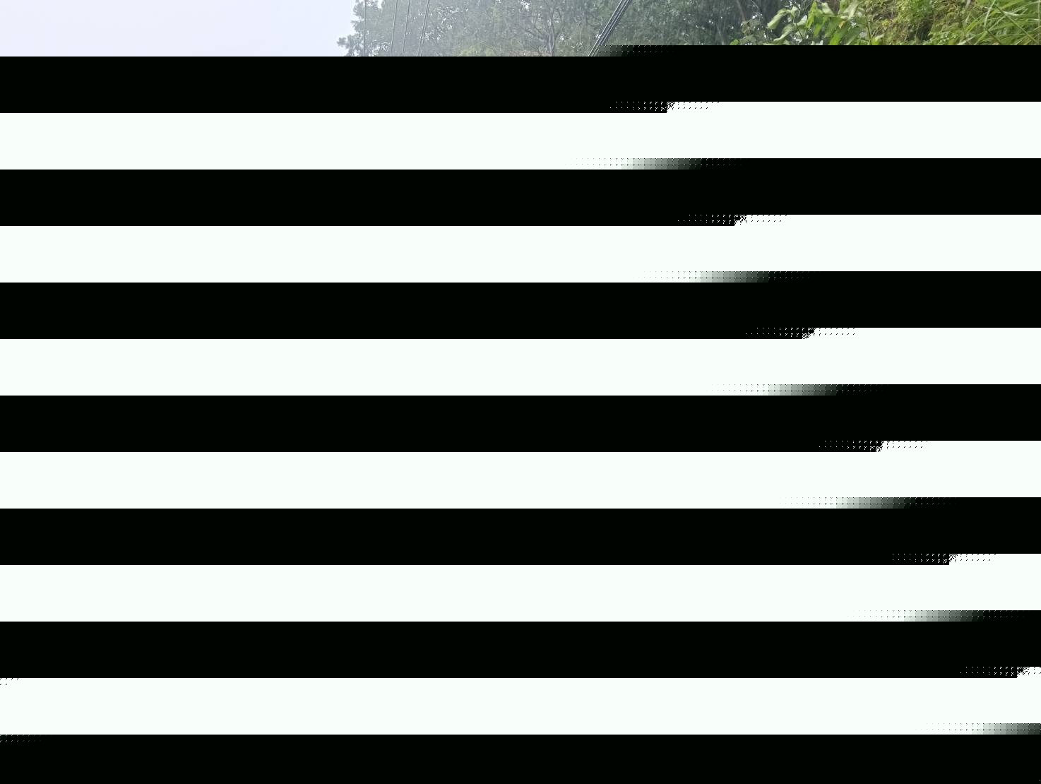 颱風來襲前路邊鋼索垂掛處置