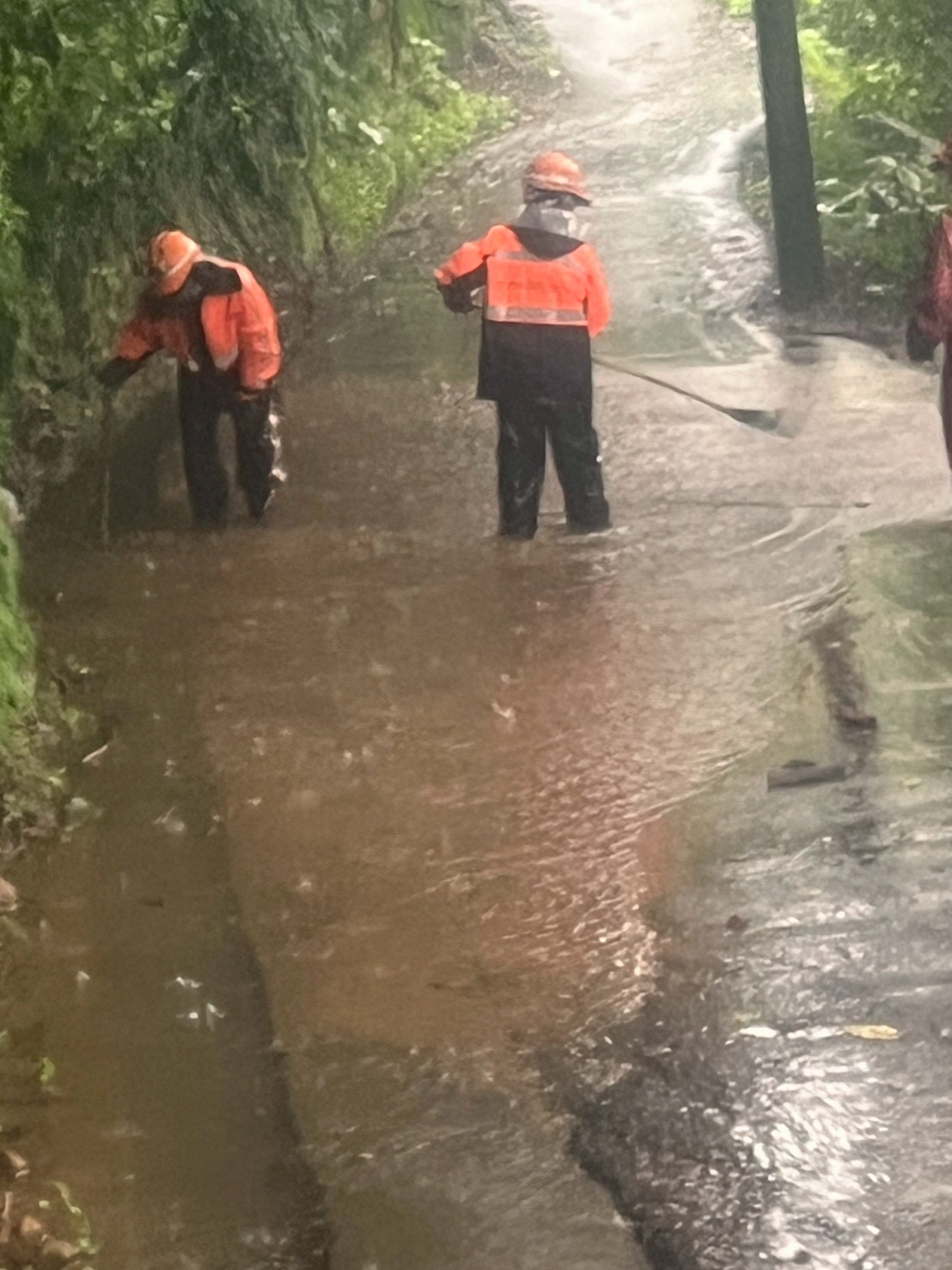 1141112鳳凰颱風道路側溝清淤