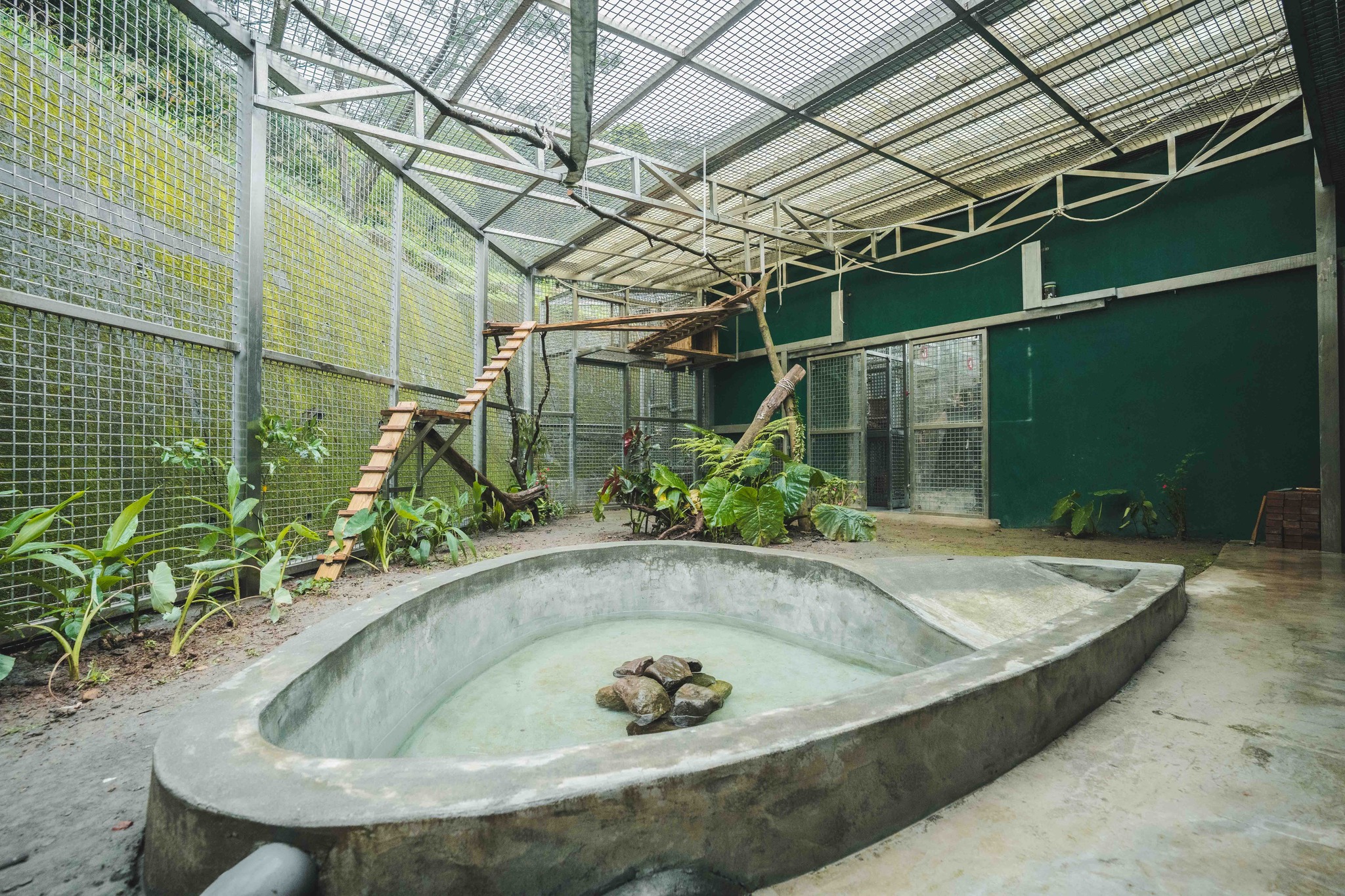 空中廊道、棲架、水池等環境豐富化設計