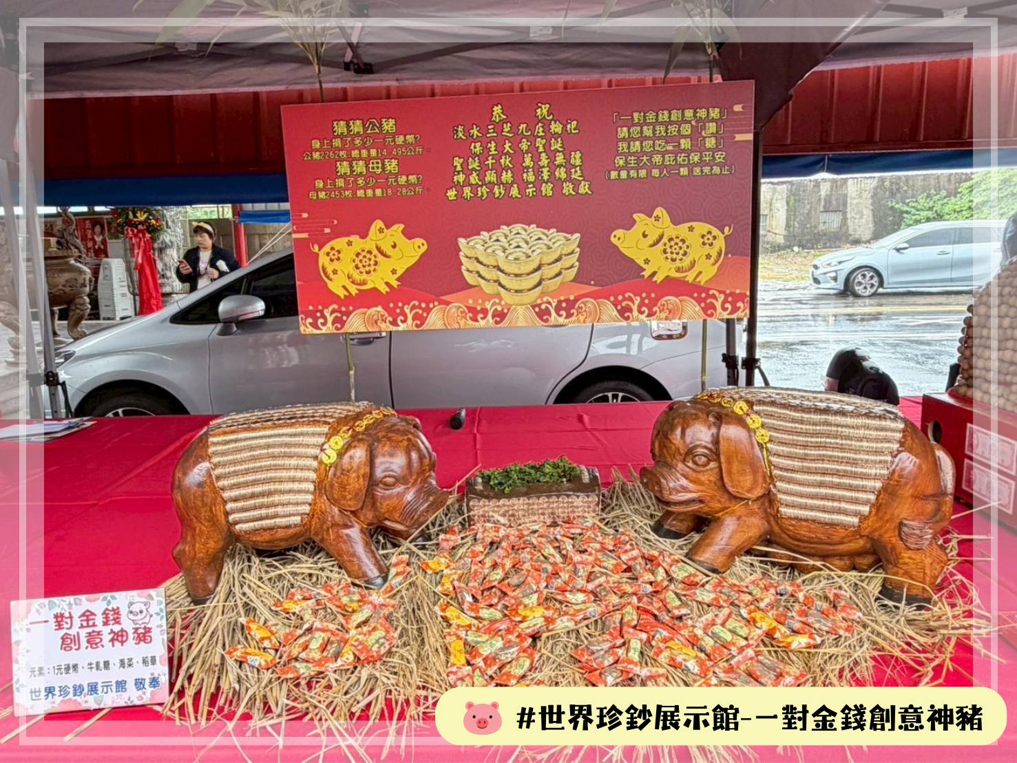 世界珍鈔展示館_一對金錢創意神豬