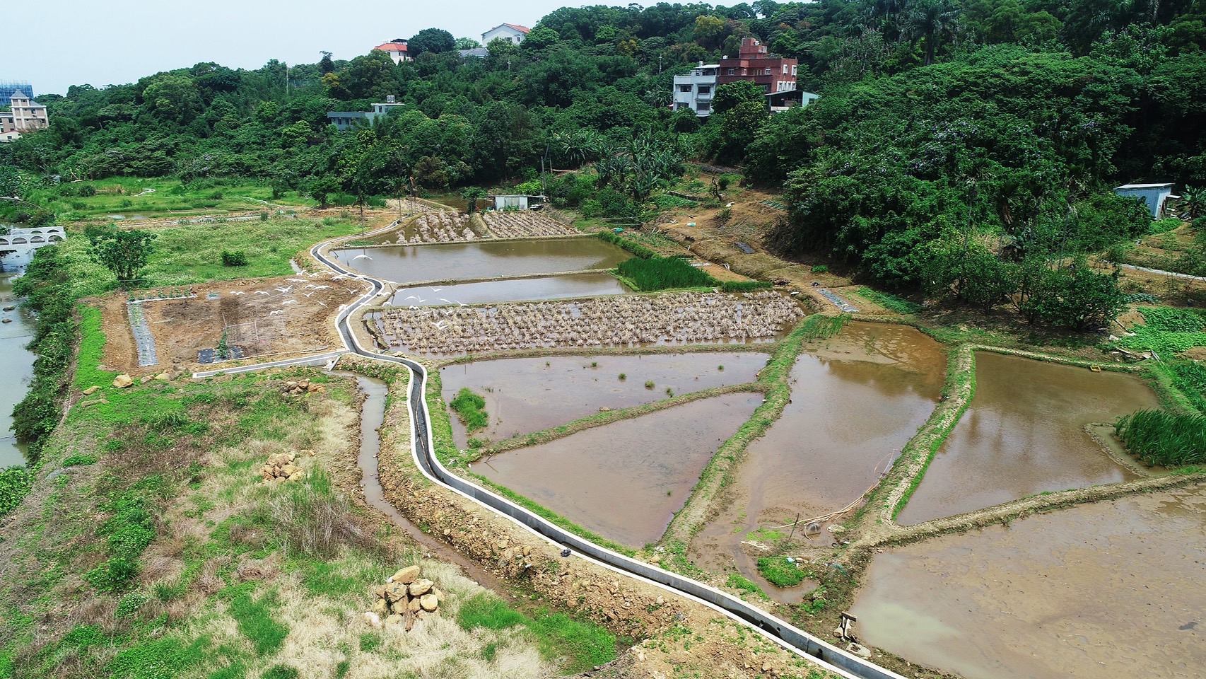 修繕錫板溪區域灌溉排水渠道