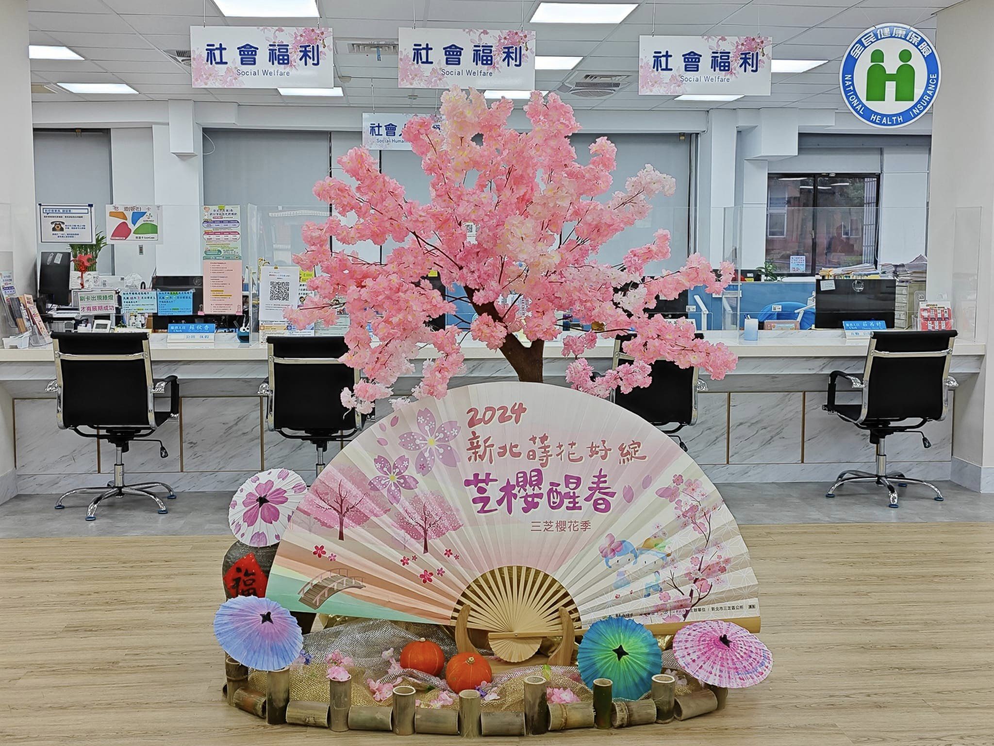 櫻花季公所大樓櫻花布置