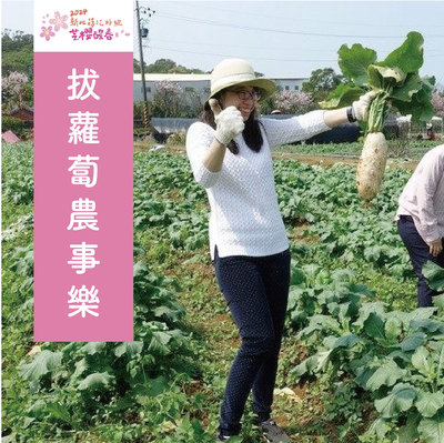 拔蘿蔔農事樂