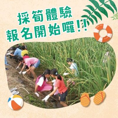 採筍體驗活動